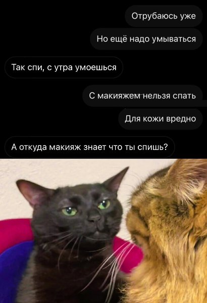 ���� - 14 ������ 2025 � 11:09