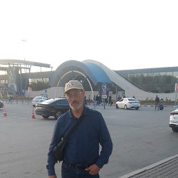 , 65, 