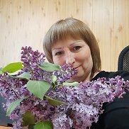 , 46 , 