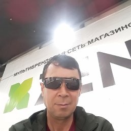 , 52, 
