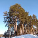 ���� �����, ������, 43 ���� - ��������� 16 ������� 2024