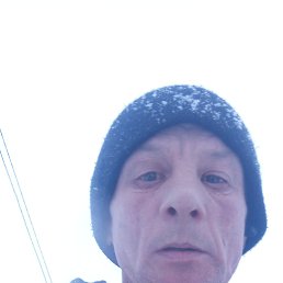 , 41, 