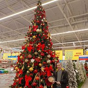 �����, 48 ���, ������