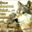 ���� ������, ������, 39 ��� - ��������� 30 ������� 2025 � ������ ���� ����������