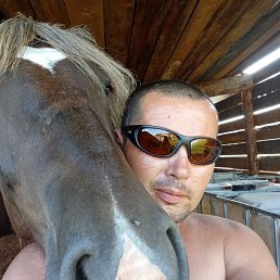 ����, 42 ����, �����������