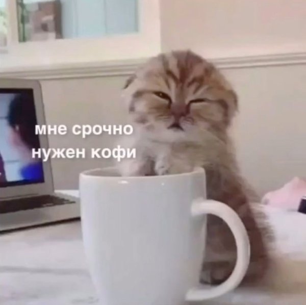Интересно, а какая она на работе? Я каждый рабочий день: - 3