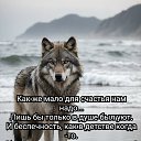 ���� ����, ���������, 63 ���� - ��������� 19 ������ 2026 � ������ ���� ����������