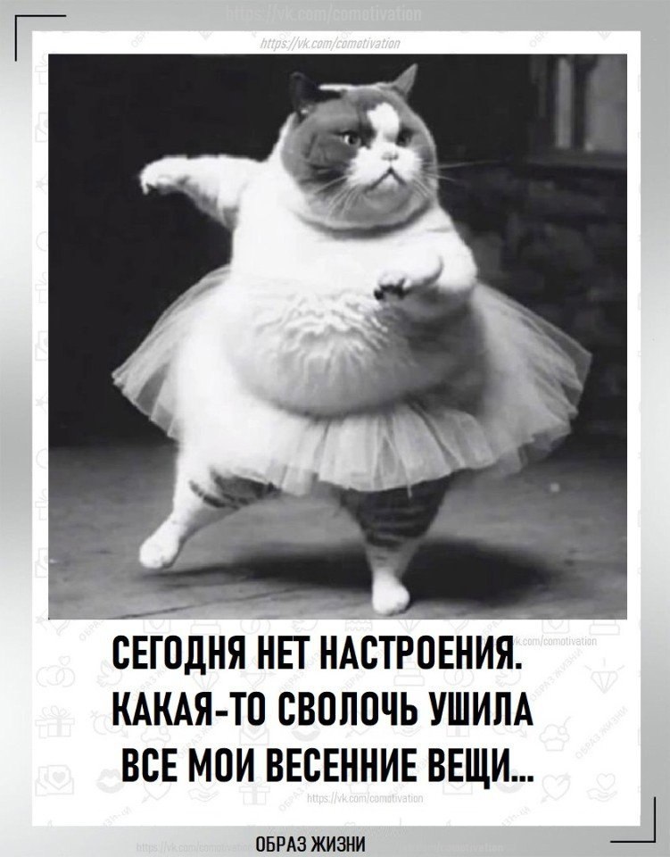 Co-Motivation.... . - 11  2025  11:57