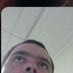 , 37, 