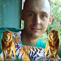 ���� Andrey, ���������, 38 ��� - ��������� 25 ������ 2026