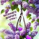 ���� ������, �����������, 65 ��� - ��������� 25 ��� 2024 � ������ ������ ��������