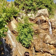 Mustafa, 31 , -