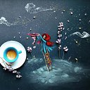 ���� �������, ������ - ��������� 27 ���� 2026 � ������ ������ ��������