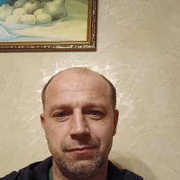 , 44, 