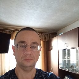 ����, 41 ���, �����