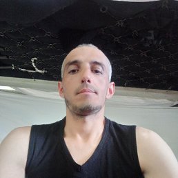 , 33, 