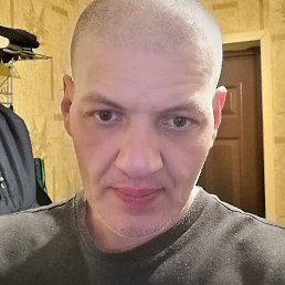 ����, �������, 43 ����