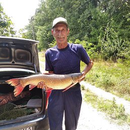 ������, �����, 68 ���