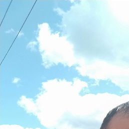 �����, ���, 42 ����