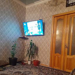 ���, ������, 43 ����