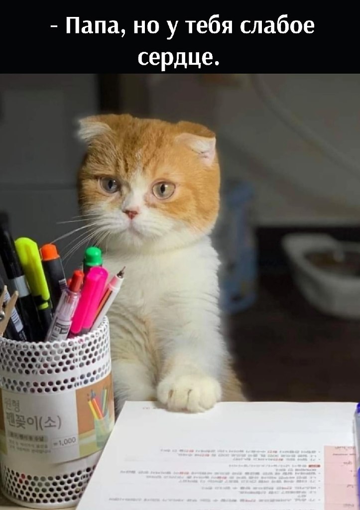       - 6  2025  17:38 - 2