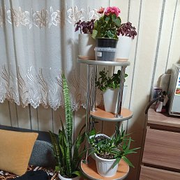 ���� ������, ������, 58 ��� - ��������� 4 ��� 2026