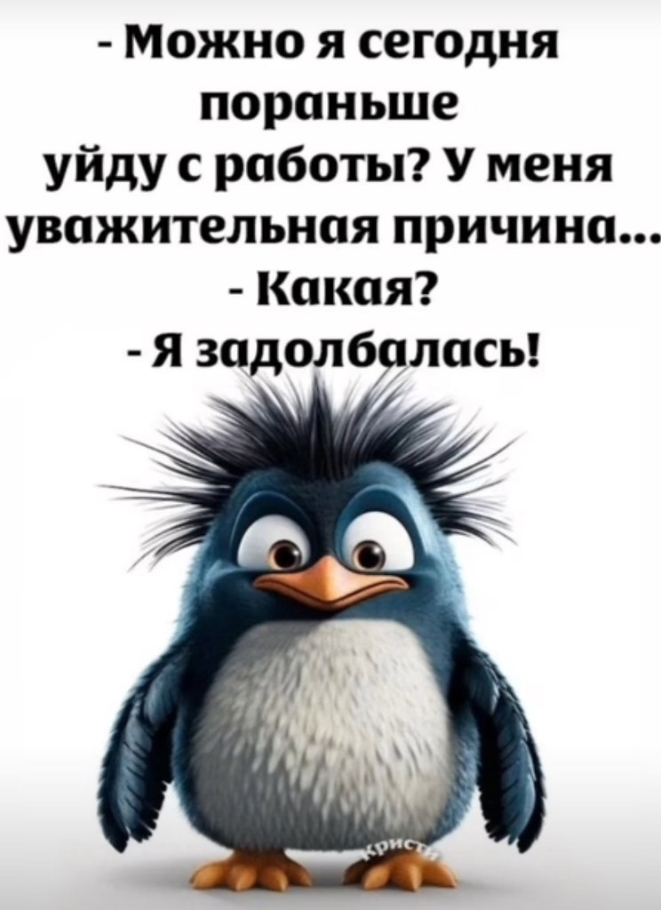  - 5  2025  14:09