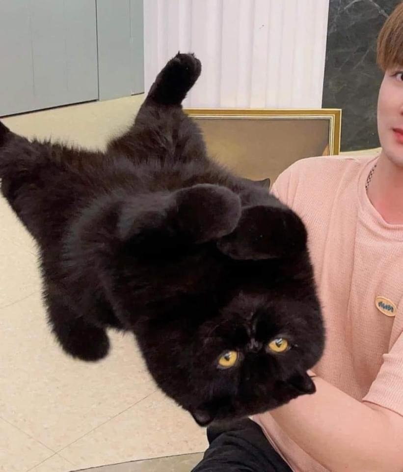 �������������� ������ ���� - 4