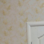 ������, 21 ���, ���������