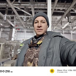 �����, 40 ���, ������