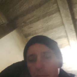 �������, 40 ���, ���������