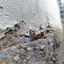 ���� ����, ������, 35 ��� - ��������� 26 ��� 2026 � ������ ������ ��������