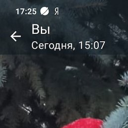 , , 48 