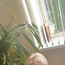 ���� �����, ������, 55 ��� - ��������� 31 ���� 2025 � ������ ���� ����������