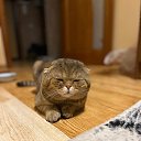 ���� ����, ������ - ��������� 10 ����� 2026 � ������ ���� ���.�