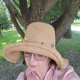 , 53, 