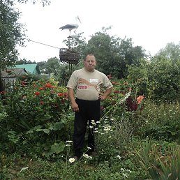 �����, ��������, 52 ����