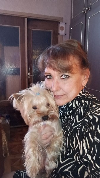 �l��� *Z* - 1 ������ 2026 � 15:10 - 2