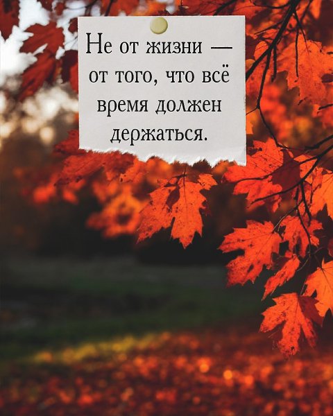 Иногда нам хочется, чтобы кто-то просто сказал: “Можешь не справляться сегодня. Я рядом.” - 2