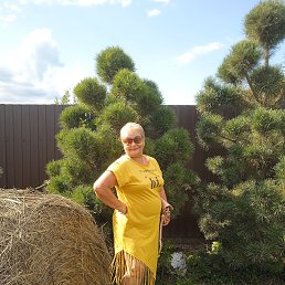 ���� �������, �����������, 68 ��� - ��������� 2 ������ 2024