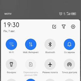 ����, ������, 39 ���