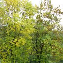 ���� ����, �������, 59 ��� - ��������� 27 ������� 2025 � ������ ���������� ( ���- ������� ������)�