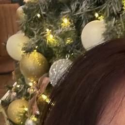 �������, ������, 59 ���