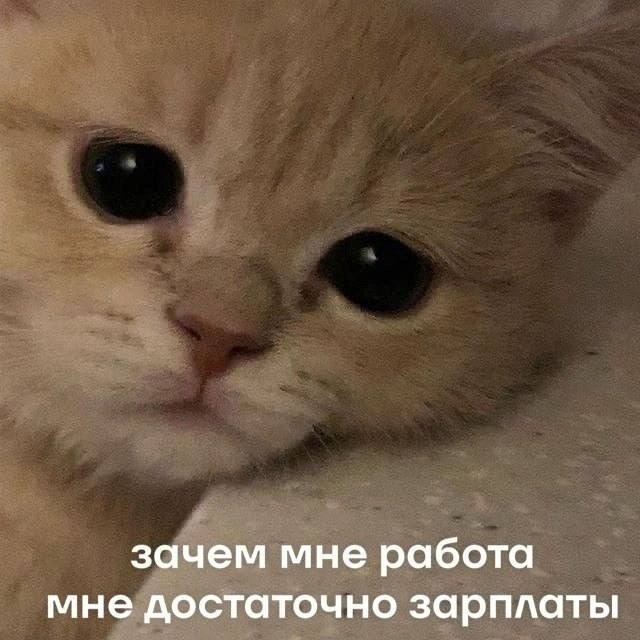 �����, ����� ����� �������� �� ������ ��������, �� � ���� ������: https://fotostrana.ru/away?to=/sl/AgP7