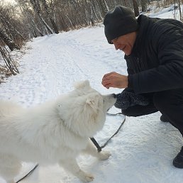 ���� ������, ����������, 63 ���� - ��������� 14 ������� 2025