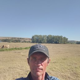 ����, ���������, 44 ����