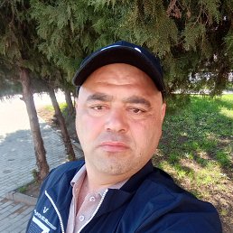 , 41, 