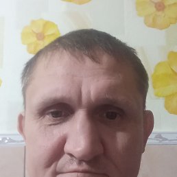 , 41, 