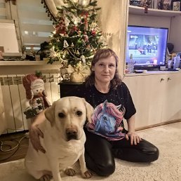 ���� �����, ��������, 41 ��� - ��������� 30 ������ 2026