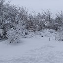  ,  -  31  2024   